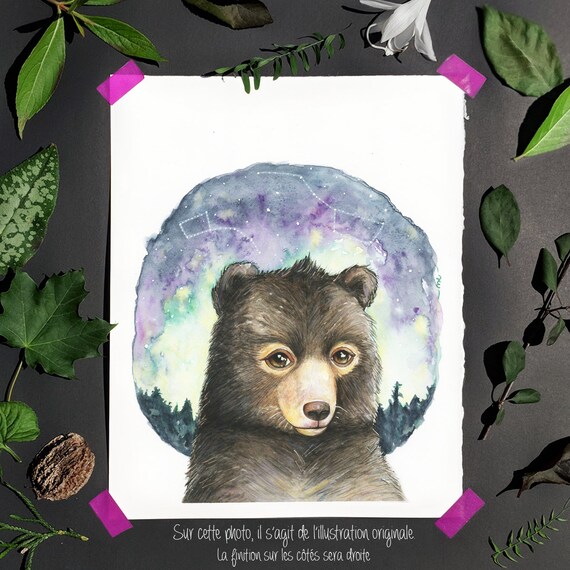 Dessin D Un Ours Brun Bebe Ours Du Quebec Etsy Dessin D Un Ours Brun Bebe Ours Du Quebec Etsy