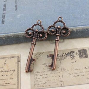 50 Pcs Skeleton Keys Bottle Openers Medieval Victorian Leaf Scroll Vintage  Keys With Swirl Design Fleur De Lis Key Rose Gold Double Sided 