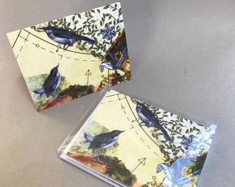 Bird Conversations—Pack of 5 Cards/Envelopes