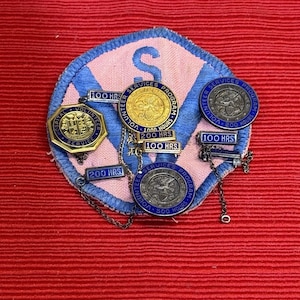 Può includere: Una collezione di spille e distintivi di servizio volontario, tra cui una grande toppa con un design blu e rosa e la lettera "S". Le spille sono dorate e blu, con testo che indica le ore di servizio.