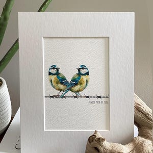 May include: A framed watercolour print showing two blue tits perched on barbed wire. The artwork is in a white mount and frame. The text "A NICE PAIR OF TITS" is below the birds.