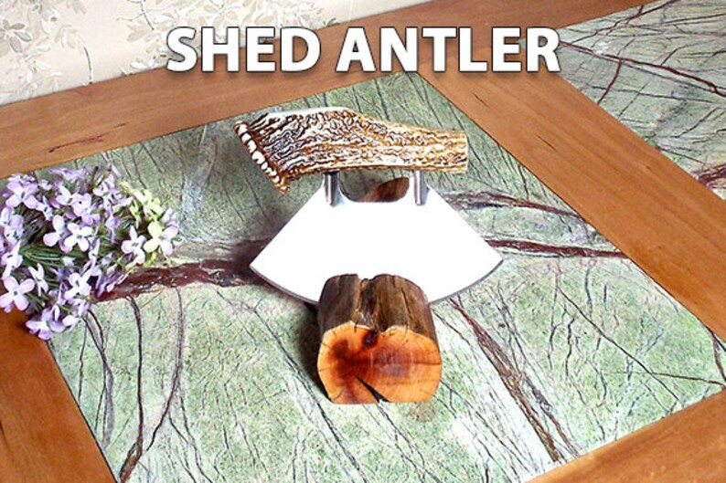 May include: A shed antler knife with a stainless steel blade and a natural antler handle. The knife is displayed on a wooden stand on a green and brown marble surface.