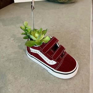 VANS Kleinkind Sneaker künstliche Sukkulenten Pflanzer / Foto / Visitenkartenhalter