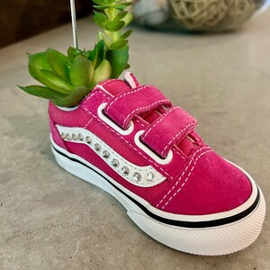VANS Kleinkind Sneaker künstliche Sukkulenten Pflanzer / Foto / Visitenkartenhalter