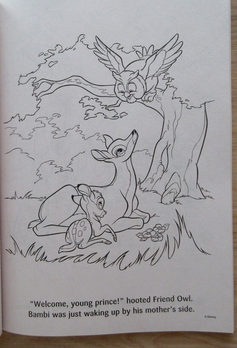 Disney Animal Friends Big Fun Coloring BookThe Lion King101 | Etsy