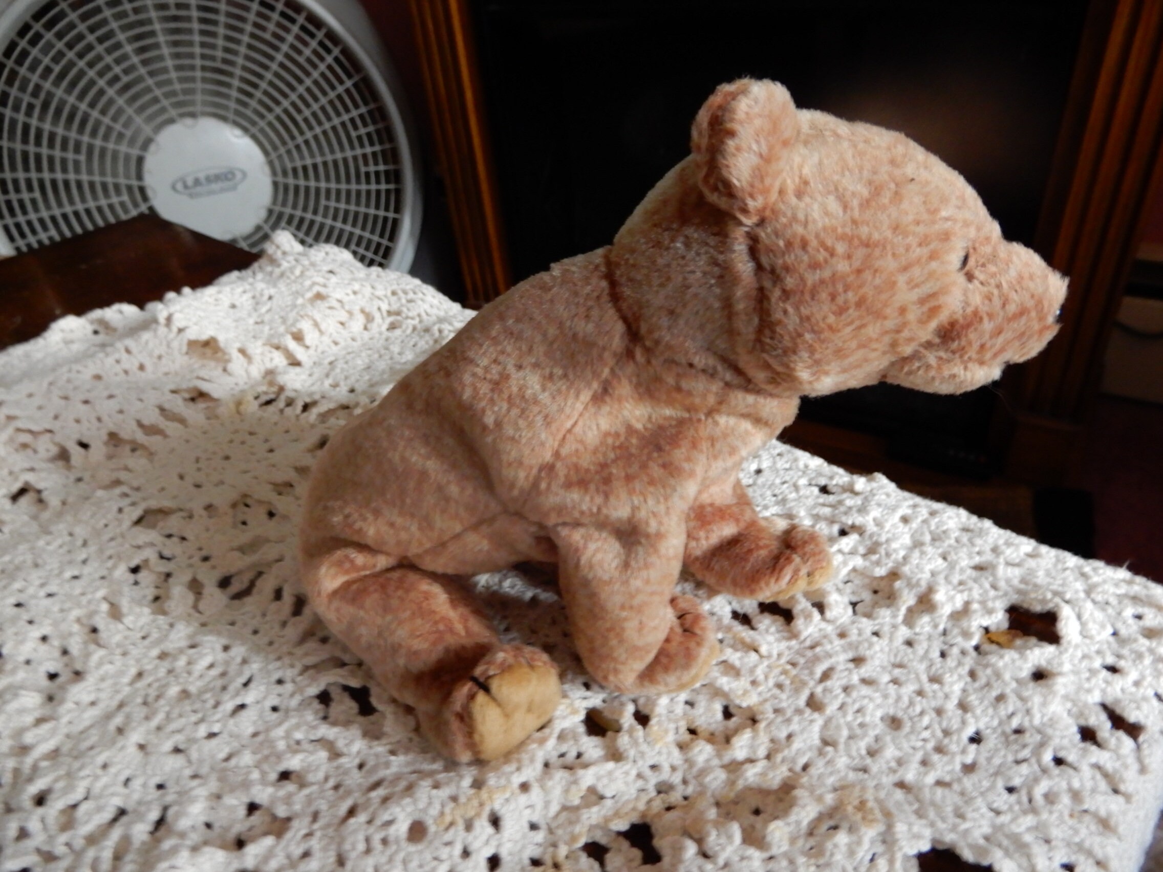 pecan beanie baby errors