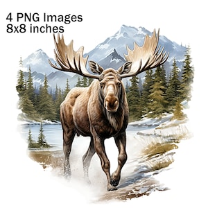 Clipart orignal, hiver orignal PNG, Illustration d'orignal, Images d'orignal hiver, sublimation PNG, orignal numérique