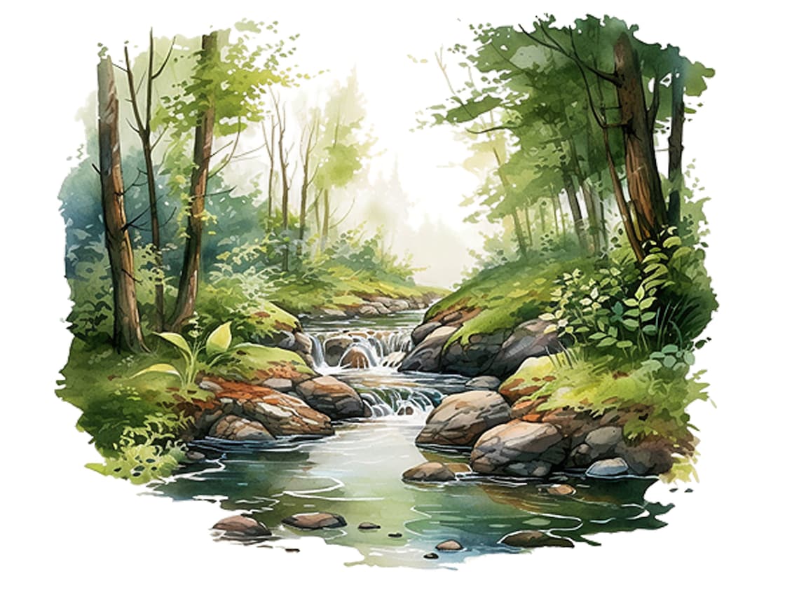 Mountain Brook, Forest Brook Clipart, Watercolor Brook, Mountain Stream ...