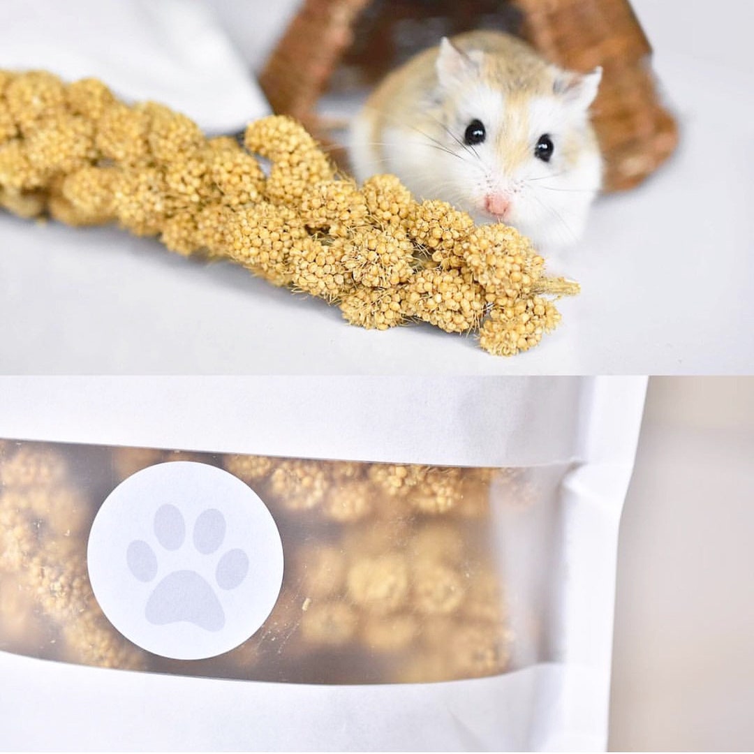 Yellow Millet Spray's Suitable for Hamster Rats & Mice Etsy UK