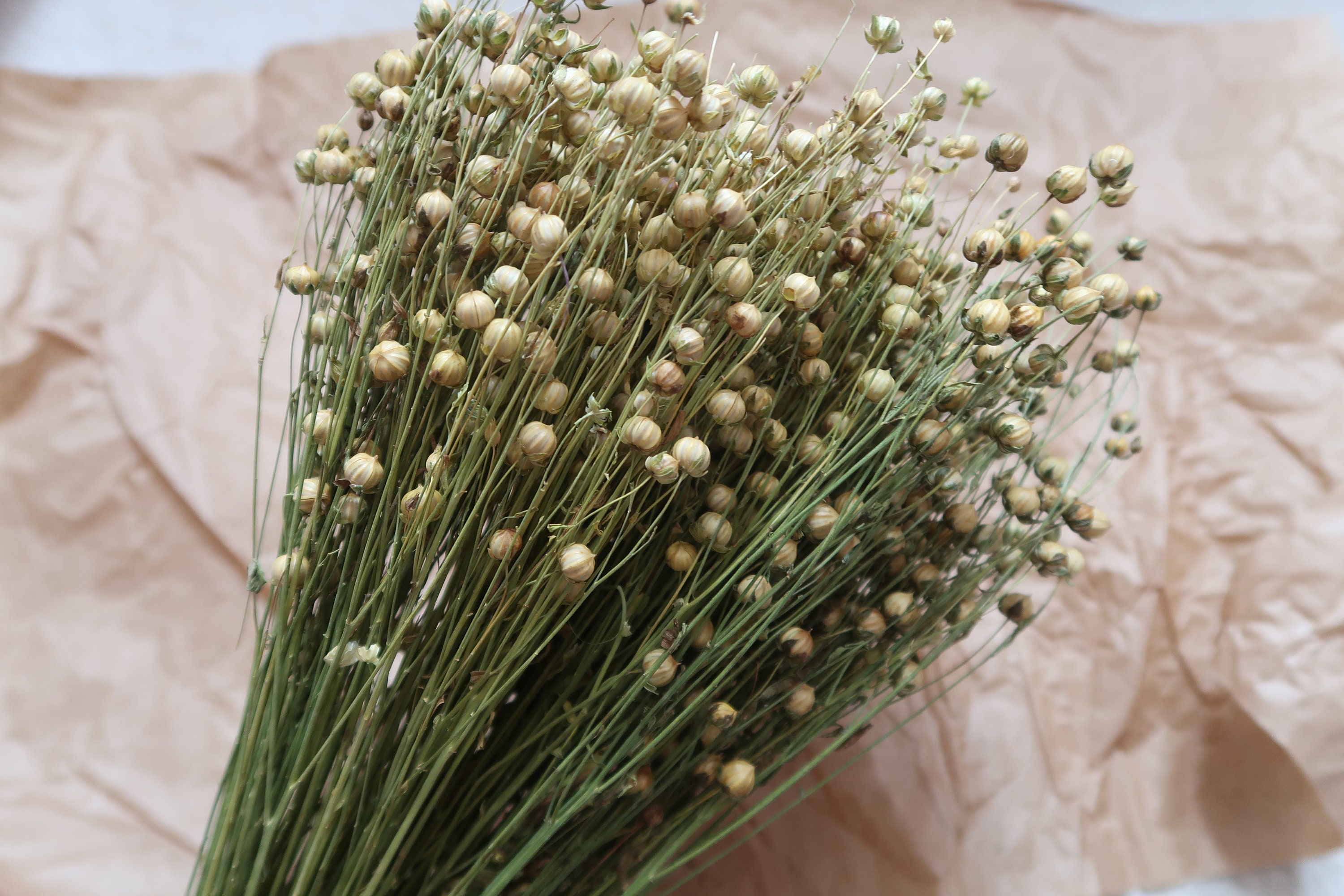 Flax Spray Bundle Etsy