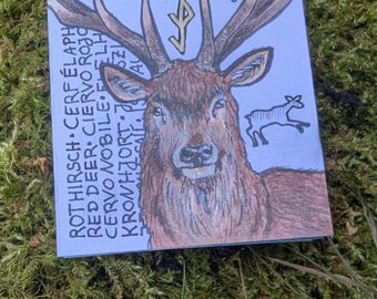 Mini Art Zine My Dearest Deer Vol 2 | red deer stag Booklet | Nature Illustration