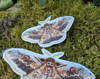 Handcrafted Moth Sticker | Cottagecore Night Moth Decal | Entomology Insect Art | Aesthetic Scrapbook & Journal Accessory