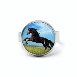 Stainless steel ring black horse – different sizes