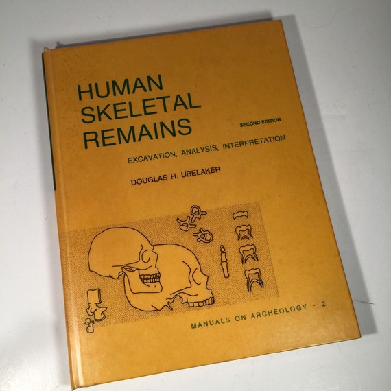 Interpretation Analysis Human Skeletal Remains Excavation