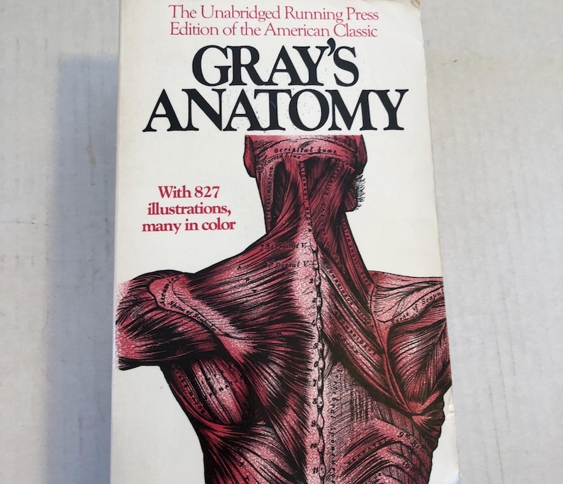 Grays Anatomy Antique Medical Anatomy, 1901 Descriptive and Surgical ...