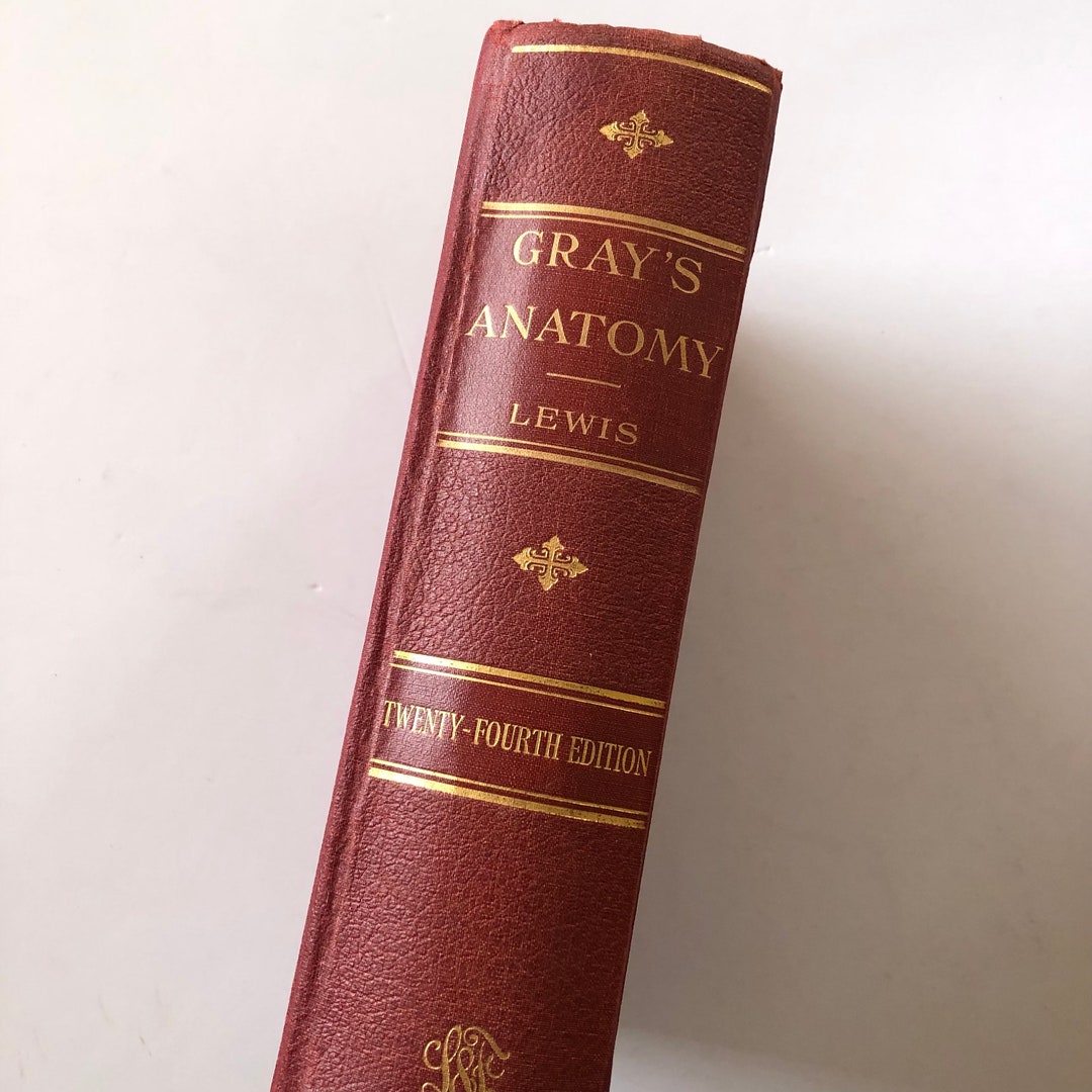 Gray's Anatomy Anatomy of the Human Body 1942 - Etsy