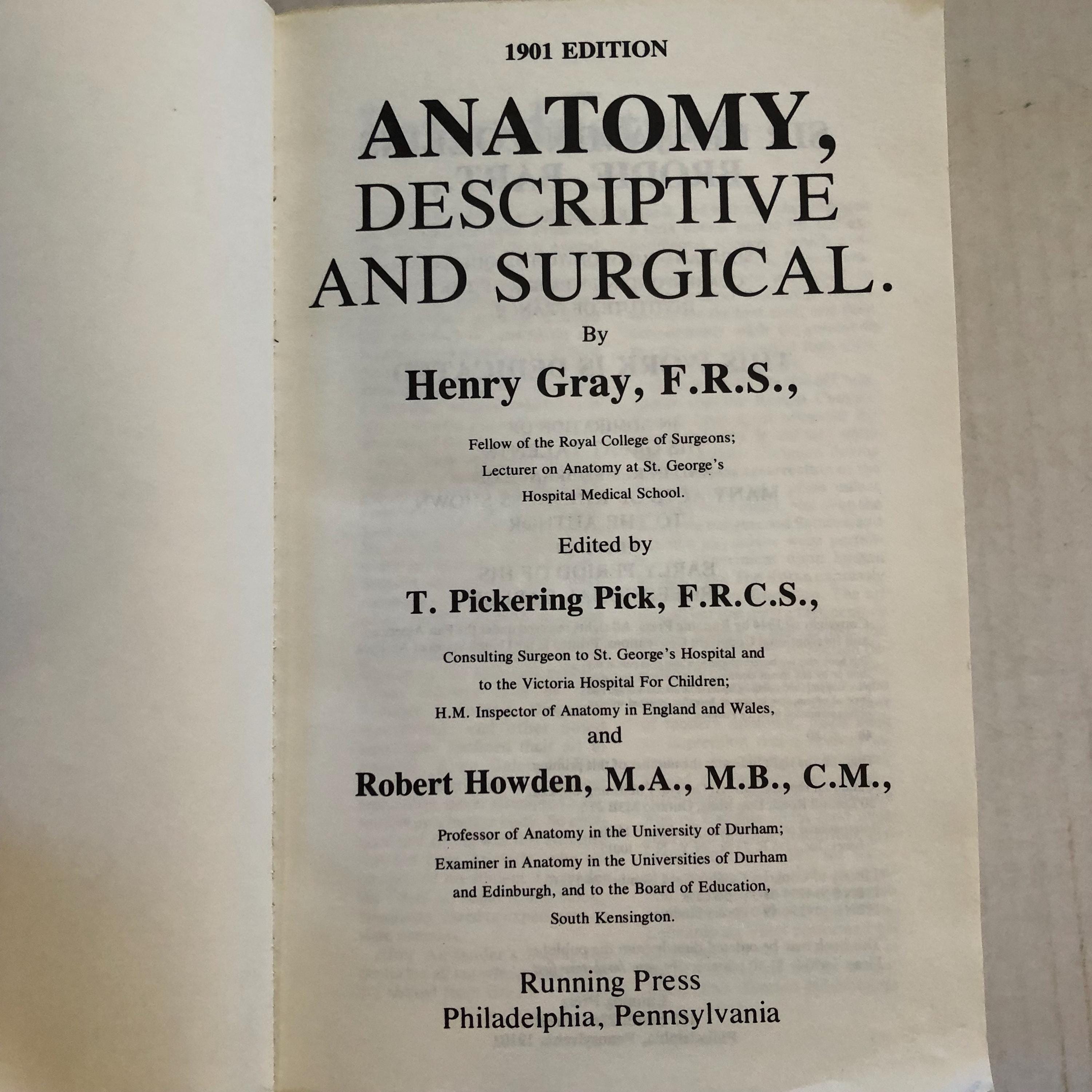 Grays Anatomy Antique Medical Anatomy, 1901 Descriptive and Surgical ...