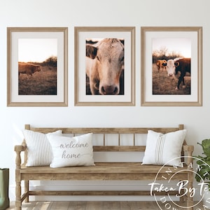 Rustic Ranch Cow Photo Collection, Cow Print, Cow Poster, Animal Print, Cow Wall Art, Cow Printable, Cow Decor, Farmhouse Cow Photography