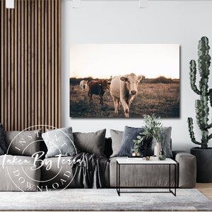 Rustic Ranch Cow Photography Print, Cow Print, Cow Poster, Animal Print, Cow Wall Art, Cow Printable, Home Decor, Farmhouse Cow Photography