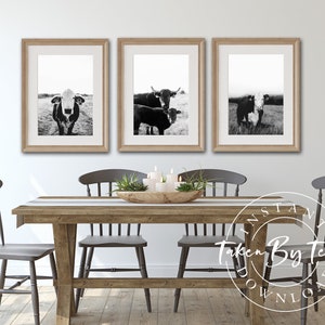 Black And White Cow Photo Collection, Cow Print, Cow Poster, Animal Print, Cow Wall Art, Cow Printable, Cow Decor, Farmhouse Cow Photography