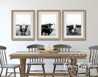 May include: Three framed black and white cow prints. The prints are in light brown frames and are hung above a wooden dining table with gray chairs. The prints feature cows in a field. The text "INSTANT DOWNLOAD Taken By Terra" is in the bottom right corner.