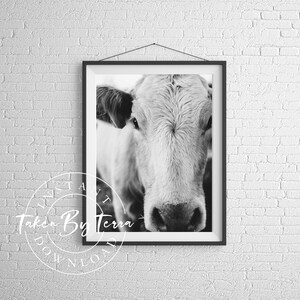 Black and White Cow Photography, Cow Photography, Cow Poster, Animal Print, Cow Wall Art, Cow Printable, Home Decor, Farmhouse Cow Print