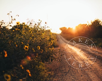 Impresión fotográfica de un campo de girasoles, arte de un camino rural al atardecer (impresión digital)
