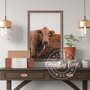 Rustic Ranch Vintage Cow Photography, Cow Print, Cow Poster, Animal Print, Cow Wall Art, Cow Printable, Cow Decor, Farmhouse Cow Photography