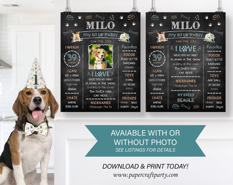 Milestone Photo Poster for Dogs, Pet Gotcha Day Party, Edit Online, Download + Print Today with free Corjl.com 0021 image 3