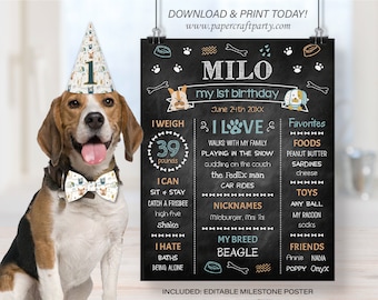 Milestone Poster for Dogs, Pet Gotcha Day Party, Edit Online, Download + Print Today with free Corjl.com 0021