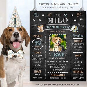 Milestone Photo Poster for Dogs, Pet Gotcha Day Party, Edit Online, Download + Print Today with free Corjl.com 0021 image 1