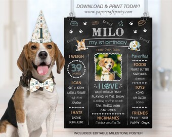 Milestone Photo Poster for Dogs, Pet Gotcha Day Party, Edit Online, Download + Print Today with free Corjl.com 0021