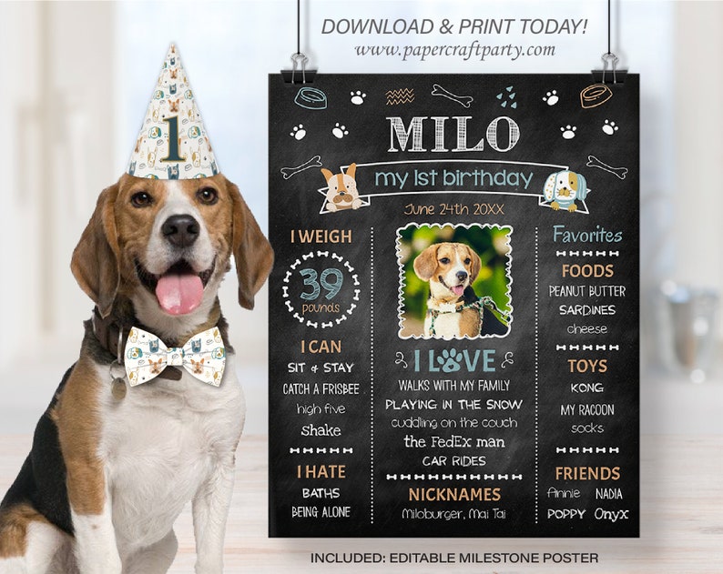 Milestone Photo Poster for Dogs, Pet Gotcha Day Party, Edit Online, Download + Print Today with free Corjl.com 0021 image 1