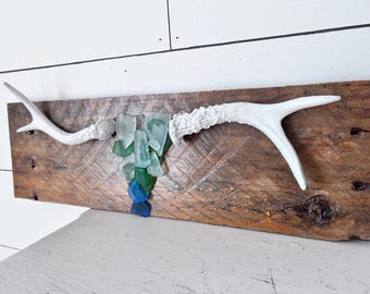 Natural antlers /antler mount/ Sea glass/Rustic wall hanging