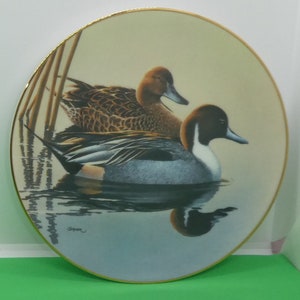 Decorative Plate-Pintails-Federal Duck Stamp Plate-1991-Gift for Dad or Granddad