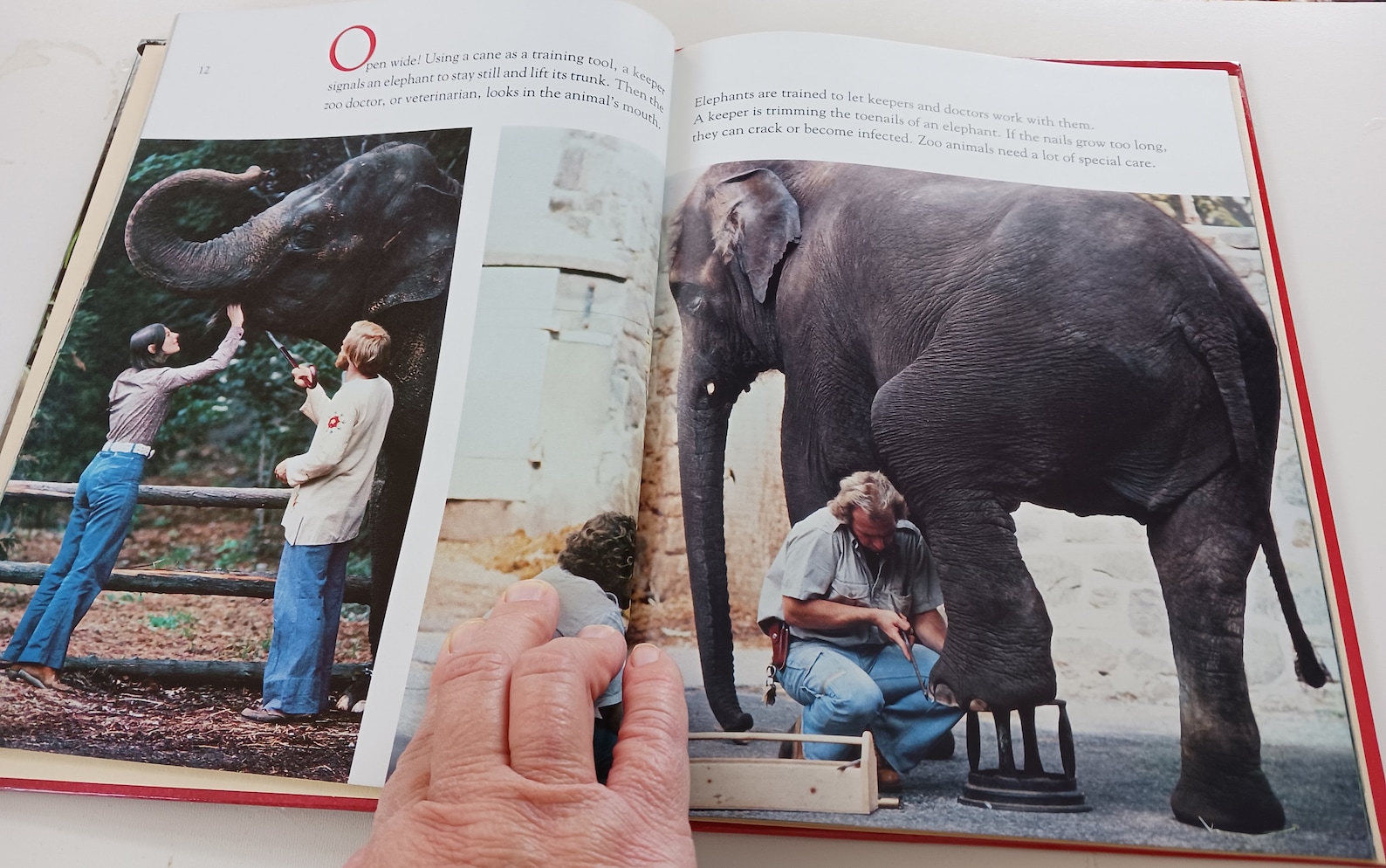 Hard Cover Bookwhat Happens at the Zoo1984 National Geographic