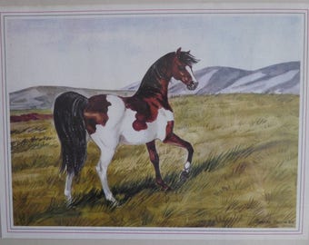 Horse picture- brown and white pinto-1949 print- Jeanne Mellin -New Apartment gift
