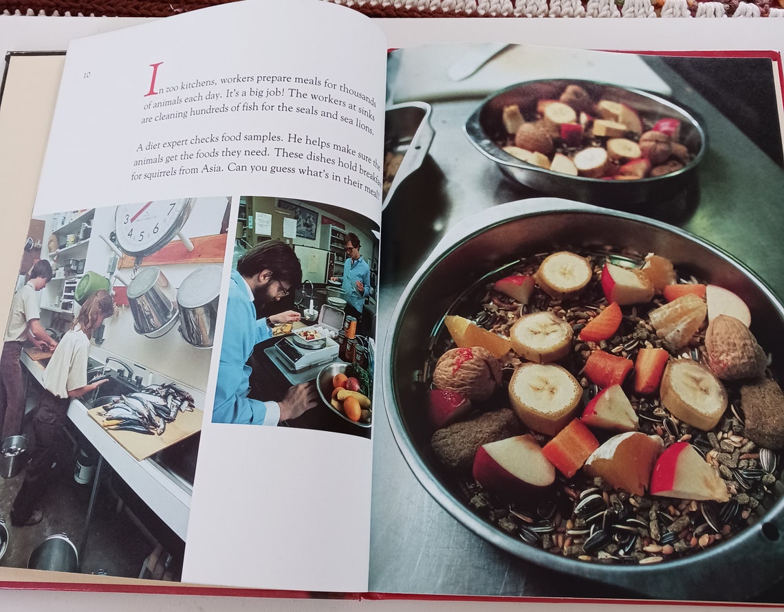 Hard Cover Bookwhat Happens at the Zoo1984 National Geographic