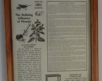 Picture -1893 Almanac-Household Hints - Framed Page from a Will Forpe 1977 book -Gardener gift-Flowers