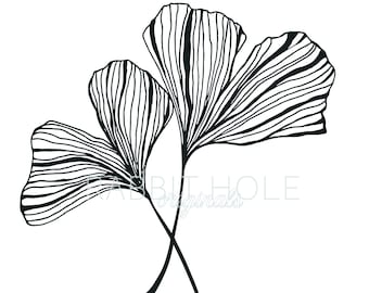 Ginkgo I