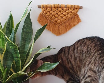 Digital Mini Macrame Wall Hanging Pattern PDS58 - Instant Download