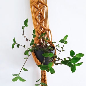 Digital Macrame Plant Hanger Pattern PBAS16 - Instant Download