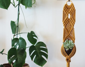 Digital Macrame Plant Hanger Pattern PBAS02 - Instant Download