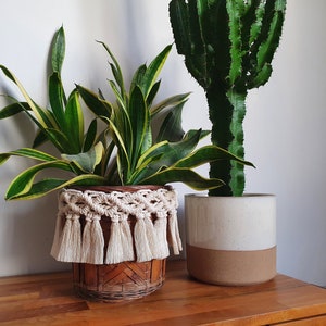 May include: Two potted plants, one with green and yellow striped leaves in a woven basket with a white macrame trim and tassels, and the other with green cactus-like leaves in a white and brown ceramic pot.
