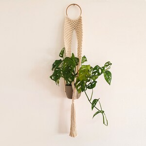 Digital Macrame Plant Hanger Pattern PBAS15 - Instant Download