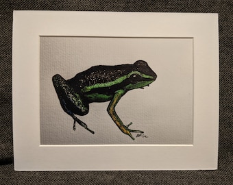 Animal and Plant Prints: Frog, Gibbon Skull, Flowers, Beetles