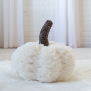 May include: A white faux fur pumpkin with a brown twine stem.