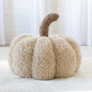 May include: A soft, cream-coloured pumpkin with a textured, fuzzy exterior. The pumpkin has a brown, rope-wrapped stem. This decorative item is likely used for autumn home decor.