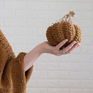 May include: A hand holding a brown knitted pumpkin with a hessian stem. The hand is wearing a brown knitted jumper.