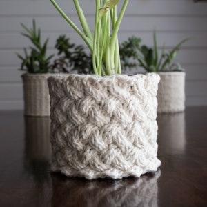 May include: A close-up of a cream-coloured crocheted plant pot with a woven pattern. The pot is filled with a green plant with long stems.